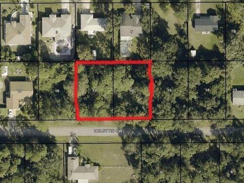 347&337 Trilby (Double Lot) Road SW, Palm Bay, FL 32908