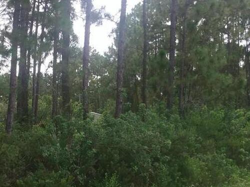 288 Gates Street SW, Palm Bay, FL 32908