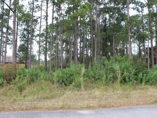 2572 Peralta Drive SE, Palm Bay, FL 32909