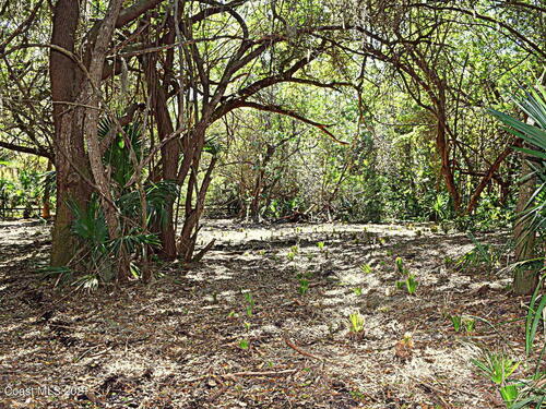 305 E Hall Road, Merritt Island, FL 32953