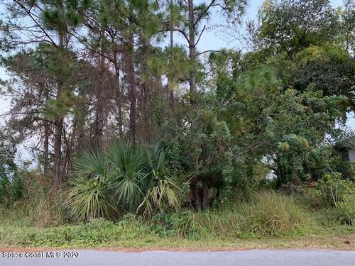 1223 Heitzman Avenue SW, Palm Bay, FL 32908