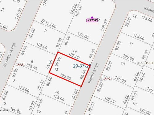 1369 Rabbit Street SE, Palm Bay, FL 32909