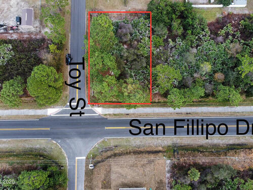 0000 Toy Street SE, Palm Bay, FL 32909