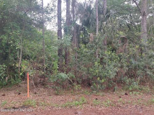 804 Tedder Road SE, Palm Bay, FL 32909