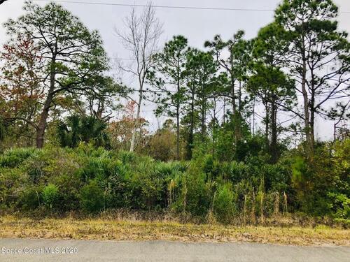 1054 Towhlen Street SE, Palm Bay, FL 32909