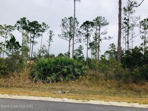 748 Lavender Street SE, Palm Bay, FL 32909