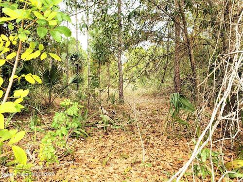 220 Deer Run Road, Palm Bay, FL 32909