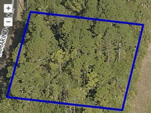 319 Tamarind Circle NW, Palm Bay, FL 32907