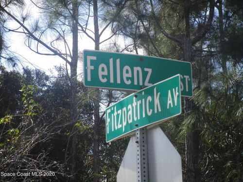 482 Fellenz Street SW, Palm Bay, FL 32908