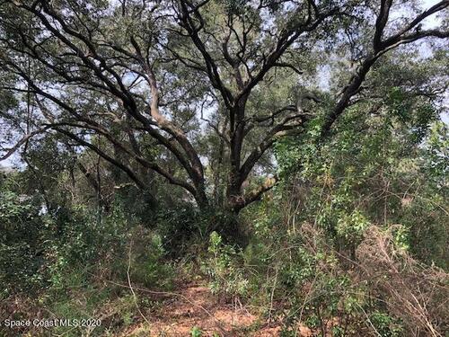 3940 Arlington Avenue, Mims, FL 32754