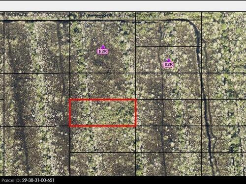 29-38-31- Unknown, Grant, FL 32949