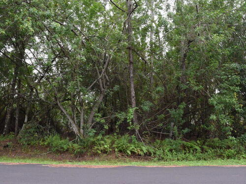 1690 Whittier Street SE, Palm Bay, FL 32909