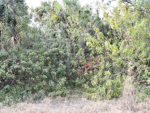 1960 Alwar Avenue, Palm Bay, FL 32908