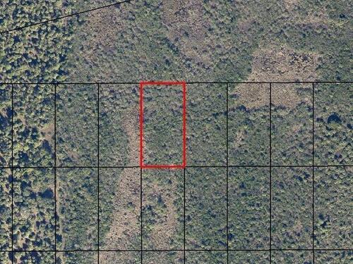 Unassigned (Off 528), Cocoa, FL 32926