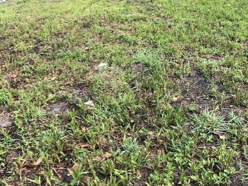 1291 Tacoma Street SE, Palm Bay, FL 32909