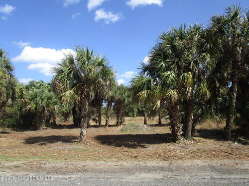 1971 Madden Avenue, Palm Bay, FL 32908