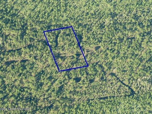 Unknown, Mims, FL 32754