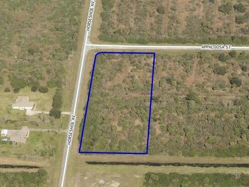 Appaloosa St, Palm Bay, FL 32909