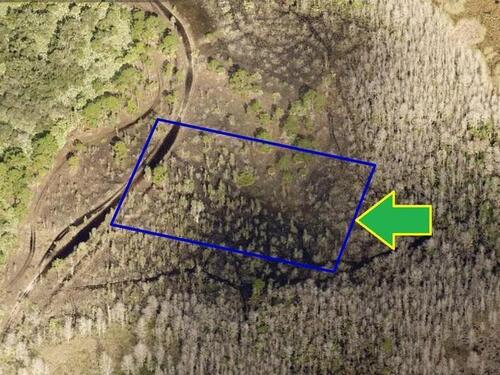 00000 No Access Laughing Gull Avenue, Grant-Valkaria, FL 32949