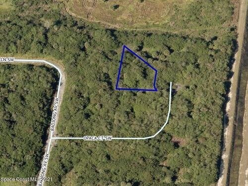 913 Opaca Court SW, Palm Bay, FL 32908