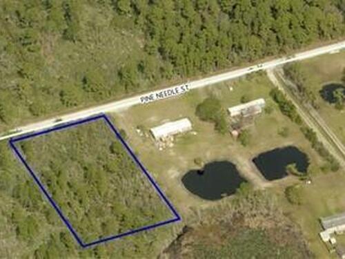 Tbd Pine Needle Street, Mims, FL 32754