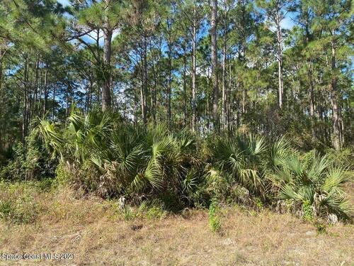 3250 Hainsworth Avenue SE, Palm Bay, FL 32909