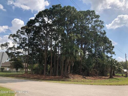 Xx Nanton Street NW, Palm Bay, FL 32907