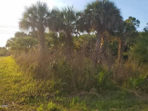 866 Darlington Avenue SW, Palm Bay, FL 32908