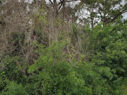 273 Stendal Road NW, Palm Bay, FL 32907