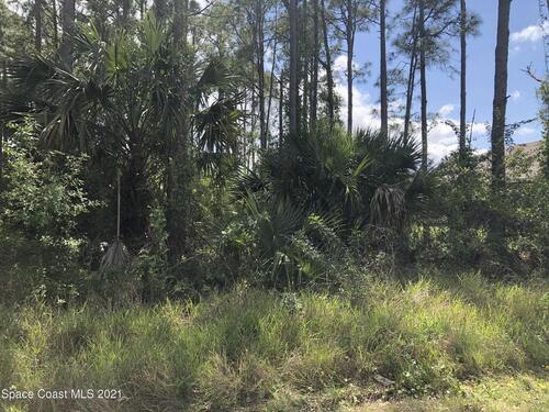 346 Sherman Street SE, Palm Bay, FL 32909