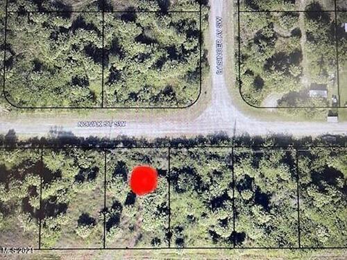 766 Novak Street SW, Palm Bay, FL 32908