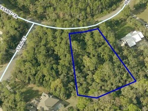 3233 Pheasant Trail, Mims, FL 32754