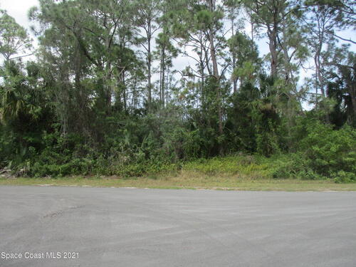 497 Schenley Street SW, Palm Bay, FL 32908