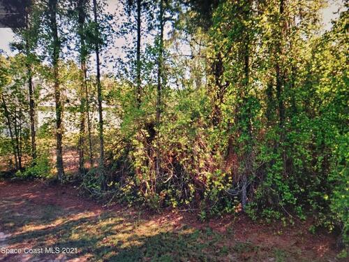 3112 Halblum Avenue SE, Palm Bay, FL 32909