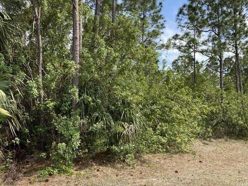 2363 Utopia Avenue SW, Palm Bay, FL 32908