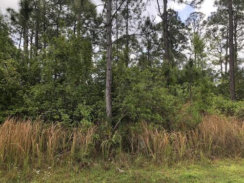 3225 Trainfo Avenue SE, Palm Bay, FL 32909