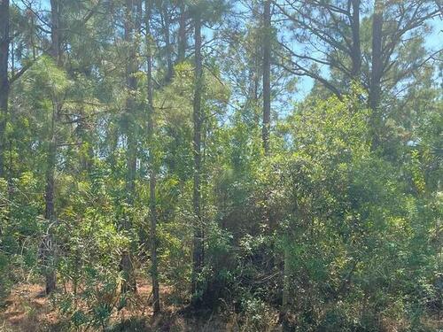 458 Haleybury Street SW, Palm Bay, FL 32908