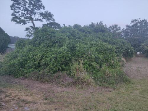 791 Becker Avenue NE, Palm Bay, FL 32905