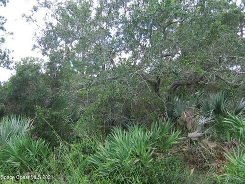 1017 Tevis Street SE, Palm Bay, FL 32909