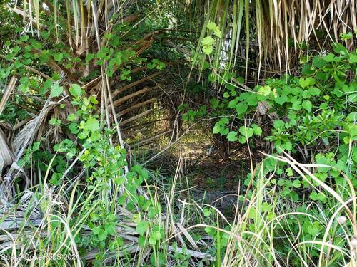 226 Cavalier Street, Palm Bay, FL 32909