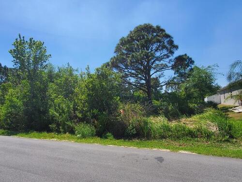 802 Taluga Avenue SE, Palm Bay, FL 32909