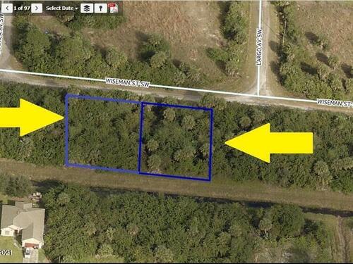 670-684 Two Adjacent Lots On Wiseman Street SW, Palm Bay, FL 32908