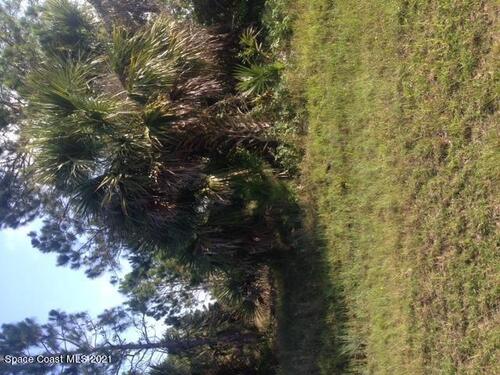 525 Fintonrod Street, Palm Bay, FL 32908