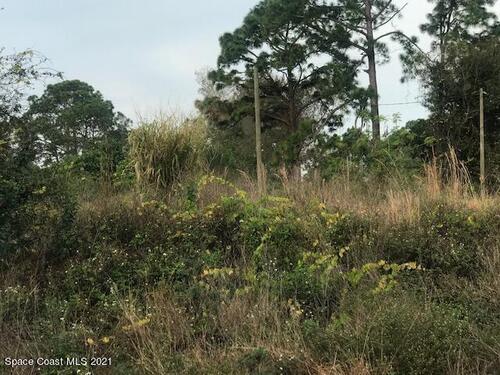 1310 Paragon Road SE, Palm Bay, FL 32909