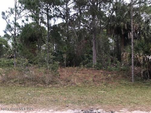 2675 Tolman Avenue SE, Palm Bay, FL 32909