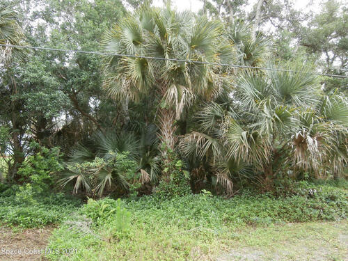 Unknown, Titusville, FL 32780