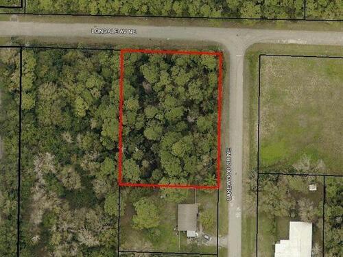 1582 Lakewood (Corner Of Londale) Drive NE, Palm Bay, FL 32905