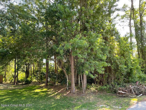 1045 Festivo Lane NE, Palm Bay, FL 32907