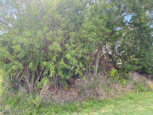 588 Arcadia Avenue NE, Palm Bay, FL 32907