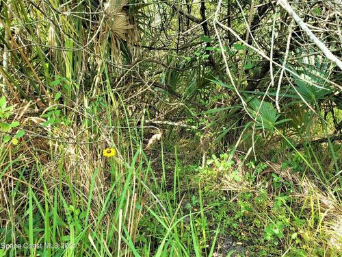 Unknown- Corner Of Elk/Fox Trl, Palm Bay, FL 32909